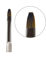 geelipintsel (sirge tipuga)      