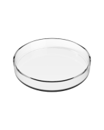 alessandro Glass Bowl - klaasist kausike